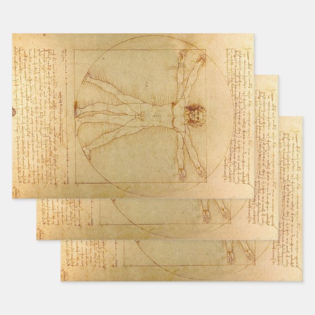 Feuille De Papier Cadeau Homme vitruvien par Leonardo Da Vinci (Lot)