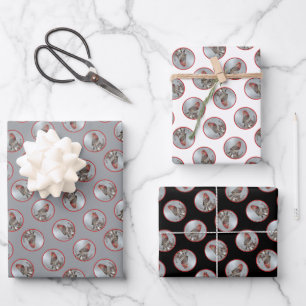 Feuille De Papier Cadeau House Finch in Winter Snow Photo originale