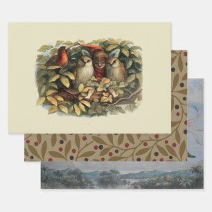 Feuille De Papier Cadeau Illustration de la nature des hiboux et des fées d