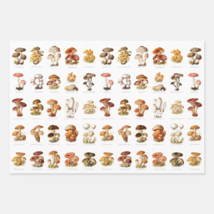 Feuille De Papier Cadeau Illustration Vintage champignons comestibles non c