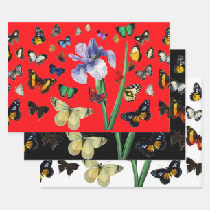 Feuille De Papier Cadeau IRIS PARMI LES BÂTIMENTS COLORÉS FLEUVE Rouge Noir