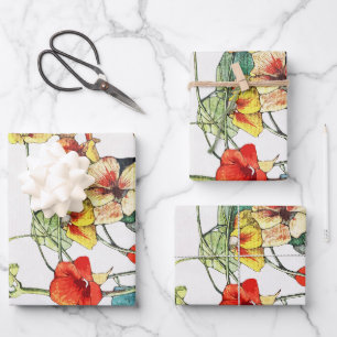 Feuille De Papier Cadeau Jardin Art Nouveau Fleurs de Nasturtium