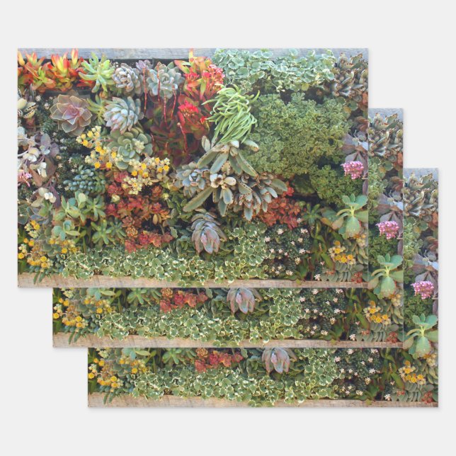 Feuille De Papier Cadeau Jardin Succulent 2 (Lot)