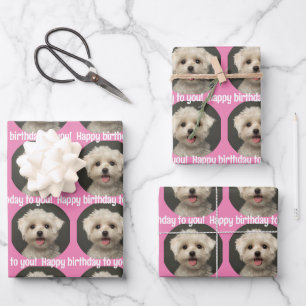 Feuille De Papier Cadeau Joli Anniversaire Pet Photo Rose
