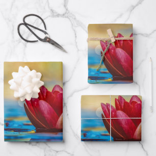 Feuille De Papier Cadeau Jolie photo d'une fleur de Lotus dans un étang