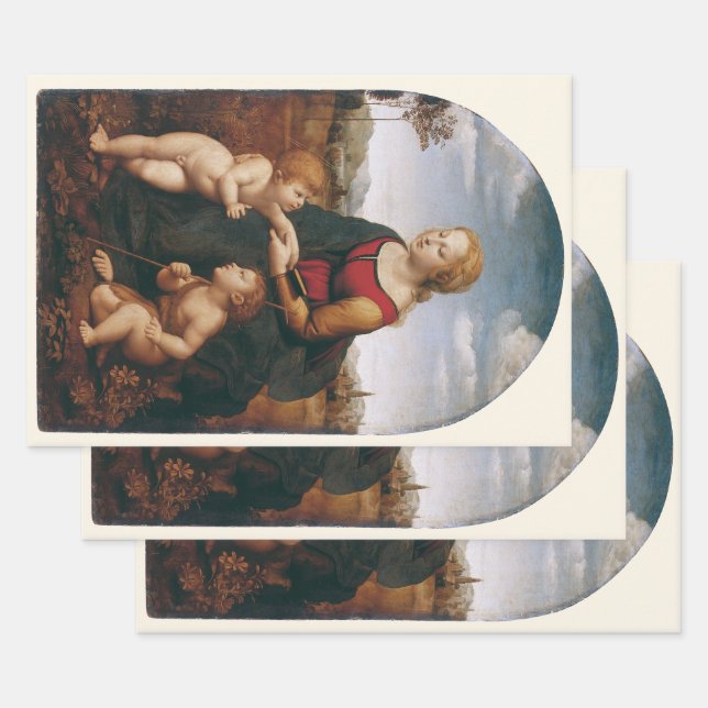 Feuille De Papier Cadeau La Belle Jardinière par Rapahel (Lot)