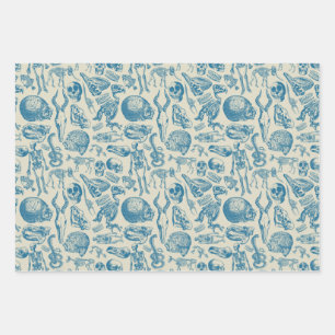 Feuille De Papier Cadeau La collection d'os