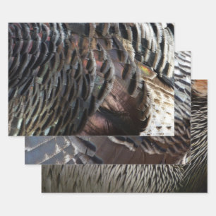Feuille De Papier Cadeau La Turquie sauvage Plumes I Abstrait Nature Design