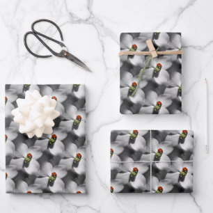 Feuille De Papier Cadeau Ladybug Sur Dogwood Flower Motif Nature 