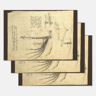 Feuille De Papier Cadeau L'aile de Léonard de Vinci, esquisse de machine vo