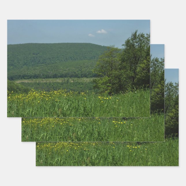 Feuille De Papier Cadeau Laurel Highlands Pennsylvania Summer Photography (Lot)