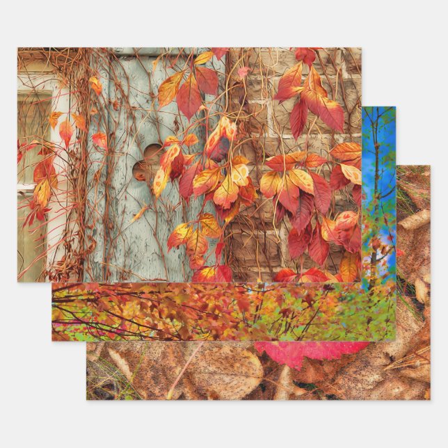 Feuille De Papier Cadeau L'automne laisse rougeoyant orangé rouge rustique (Lot)