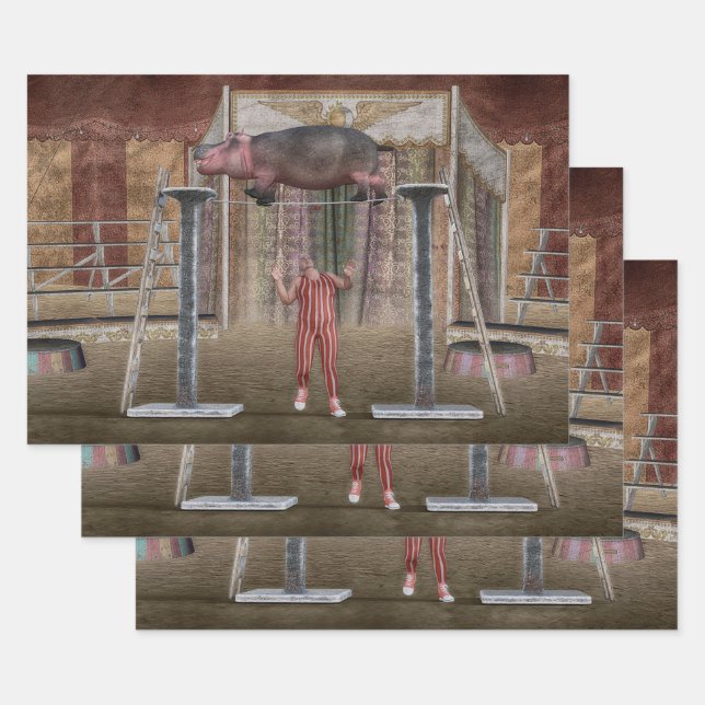 Feuille De Papier Cadeau Le cirque hippo balancier (Lot)