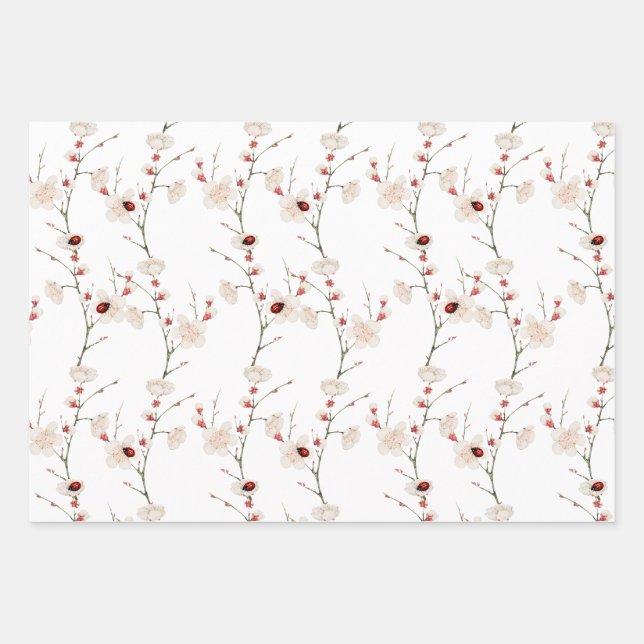 Feuille De Papier Cadeau Le Motif de Little Ladybug Boho (Devant)