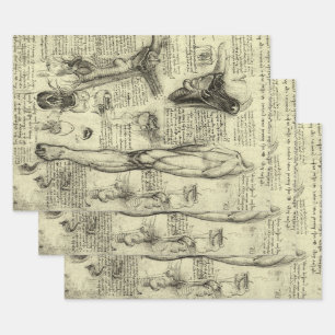 Feuille De Papier Cadeau Leonardo da Vinci Vintage Anatomie humaine Larynx 