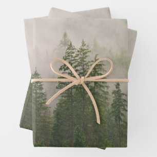 Feuille De Papier Cadeau Les arbres de la forêt de Foggy