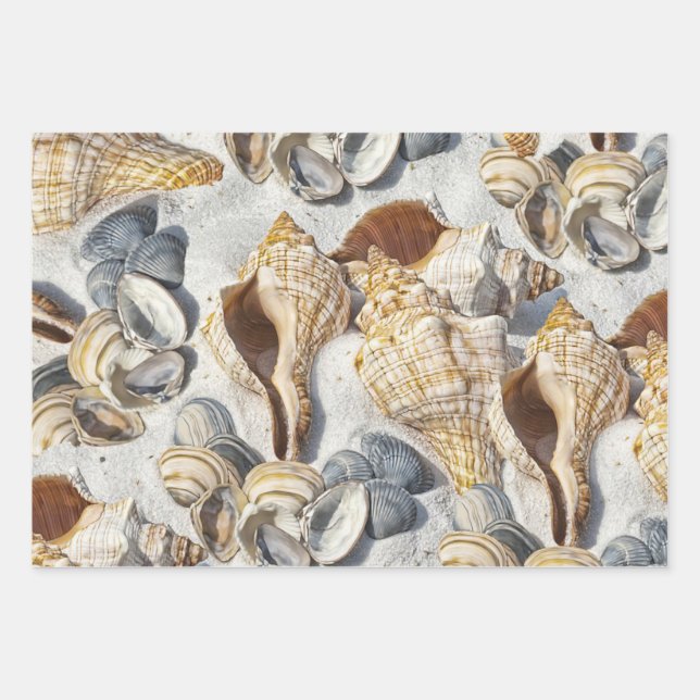 Feuille De Papier Cadeau Les coquillages de plage charme côté mer (Devant)