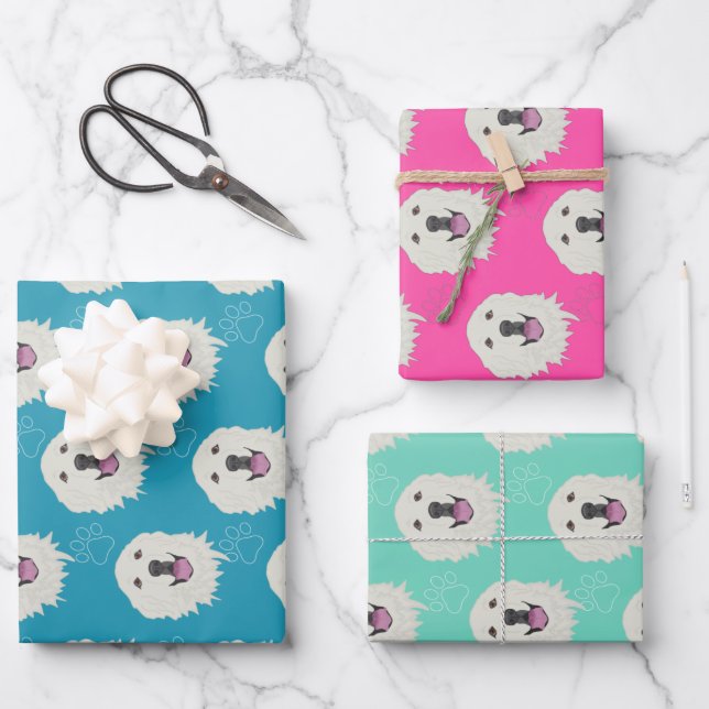 Feuille De Papier Cadeau Les Pyrénées  (Recto)