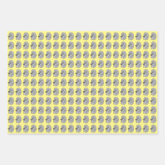 Feuille De Papier Cadeau Les reins, jaunes,