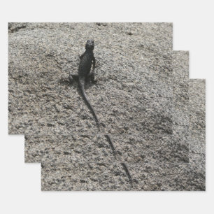 Feuille De Papier Cadeau Lézard noir