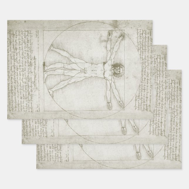 Feuille De Papier Cadeau L'homme vitruvien de Léonard de Vinci (Lot)
