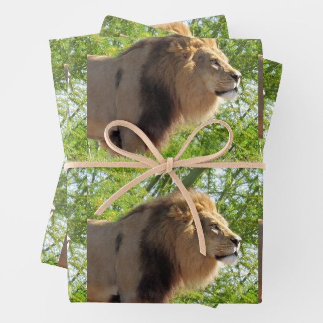 Feuille De Papier Cadeau Lion - Roi de la Jungle - Toute l'occasion (En situation)
