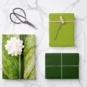 Feuille De Papier Cadeau Living Green Eco Friendly Grand sac cadeau