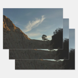 Feuille De Papier Cadeau Lone Torrey Pine Californie Sunset Paysage