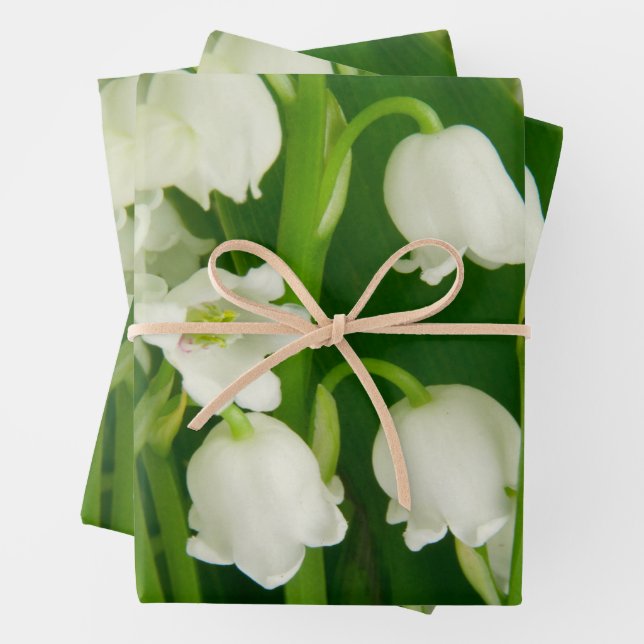Feuille De Papier Cadeau Lys de la Vallée Fleurs de printemps blanches (En situation)