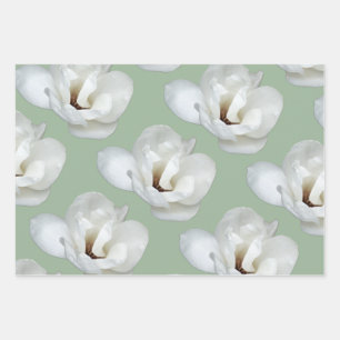 Feuille De Papier Cadeau Magnolia sur vert