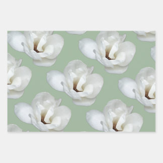 Feuille De Papier Cadeau Magnolia sur vert