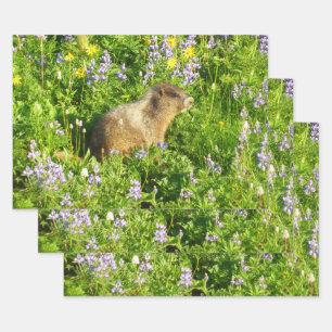 Feuille De Papier Cadeau Marmot dans le Mont Rainier Fleurs sauvages