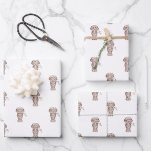 Feuille De Papier Cadeau Mignonne long Haired Dachshund Chien de saucisse