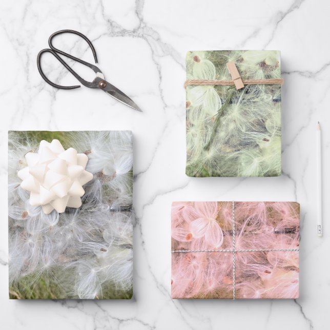 Feuille De Papier Cadeau Milkweed | Papillon | (Recto)