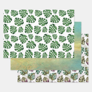 Feuille De Papier Cadeau Monstera