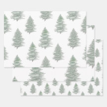 Motif arbre À feuillage persistant dessiné à la ma