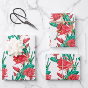 Feuille De Papier Cadeau Motif de cactus à fleurs rouges vertes