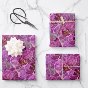 Feuille De Papier Cadeau Motif de fleurs d'orchidée rose magenta