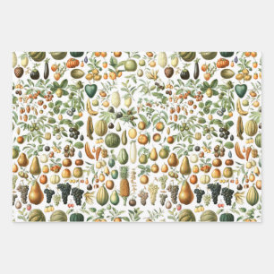 Feuille De Papier Cadeau Motif de fruits de l'Adolphe Millot