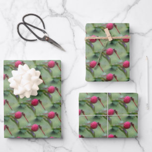 Feuille De Papier Cadeau Motif de la nature des libellules rouges 
