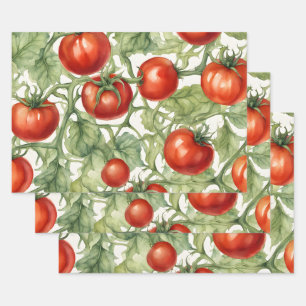 Feuille De Papier Cadeau Motif de vigne de tomate à l'aquarelle Jardin bo