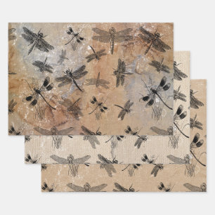 Feuille De Papier Cadeau Motif d'Entomologie vintage