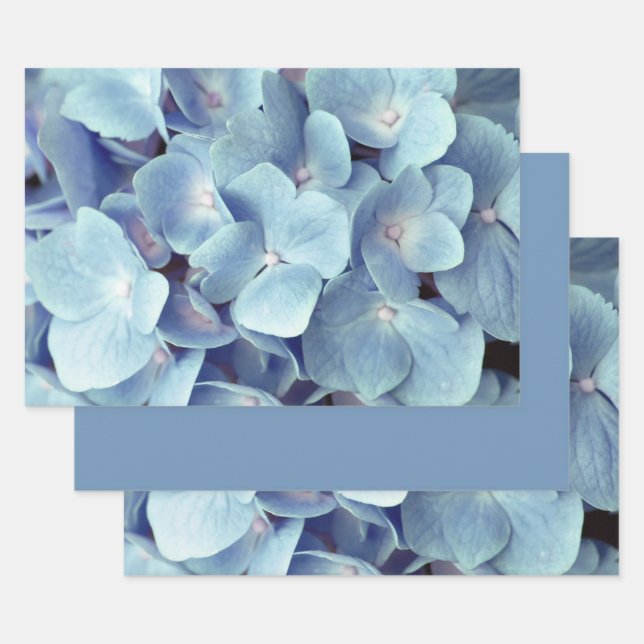 Feuille De Papier Cadeau Motif doux bleu Hydrangea (Lot)