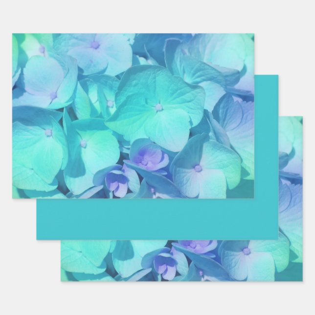 Feuille De Papier Cadeau Motif Hydrangea 2 (Lot)