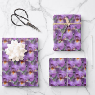 Feuille De Papier Cadeau Motif naturel Fleur Iris Lavande