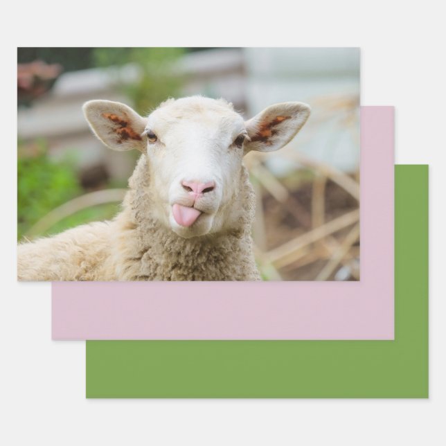 Feuille De Papier Cadeau Mouton montrer langue (Lot)