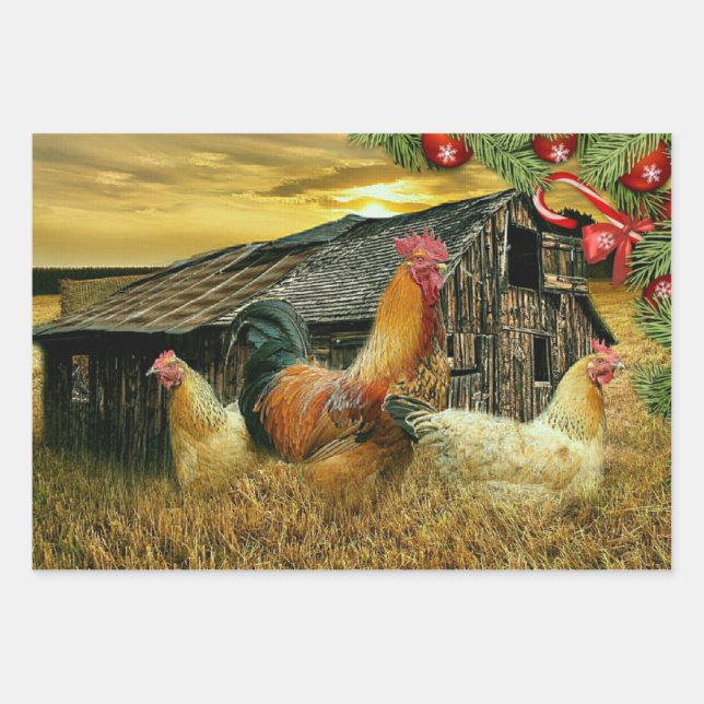 Feuille De Papier Cadeau Noël Chez Les Poulets Coop Rooster (Devant)