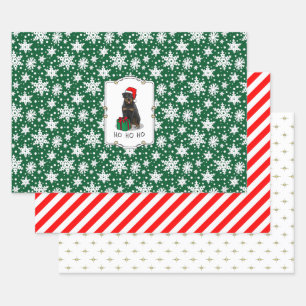 Feuille De Papier Cadeau Noël Père Noël Casquette Rottweiler Chien Drôle