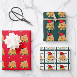 Feuille De Papier Cadeau Noël Poméranien de Cute Père Noël