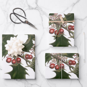 Feuille De Papier Cadeau Noël vintage, plante de houx vert avec baies